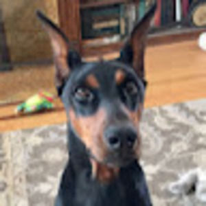 Meet your Posher, Carrie